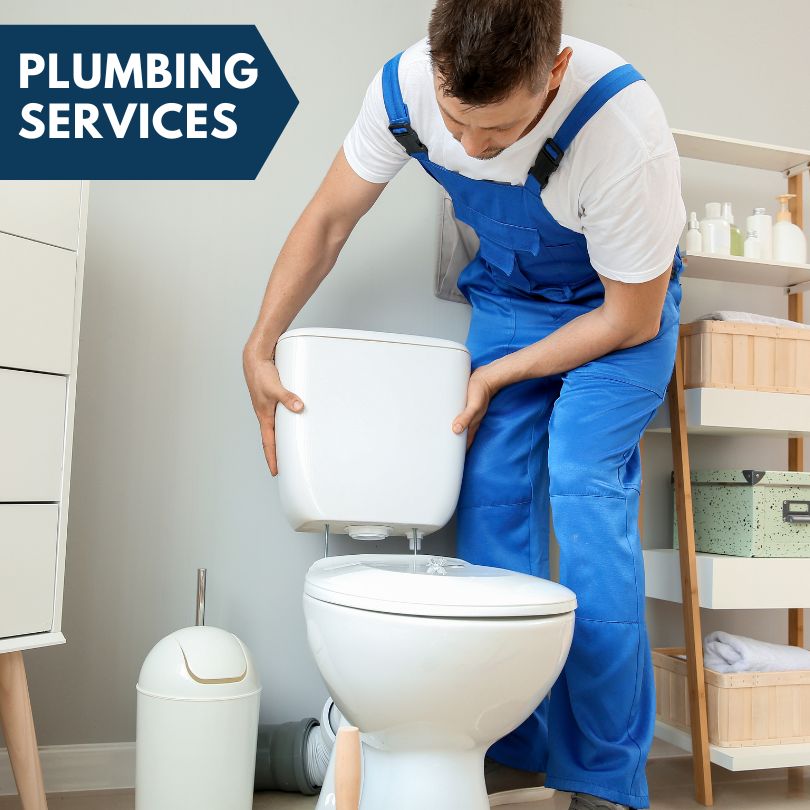 Plumbing Company in Deer Grove, IL